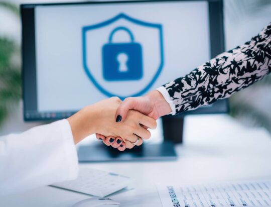 Nesla consulting-security services